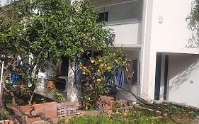 Apartman Lea